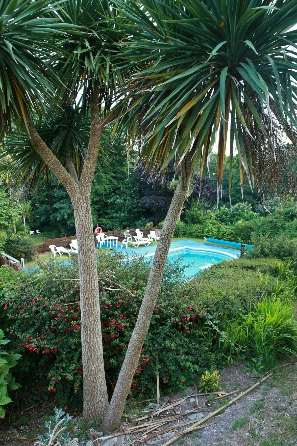 Hotel Epchris House Ilfracombe Zewnętrze zdjęcie
